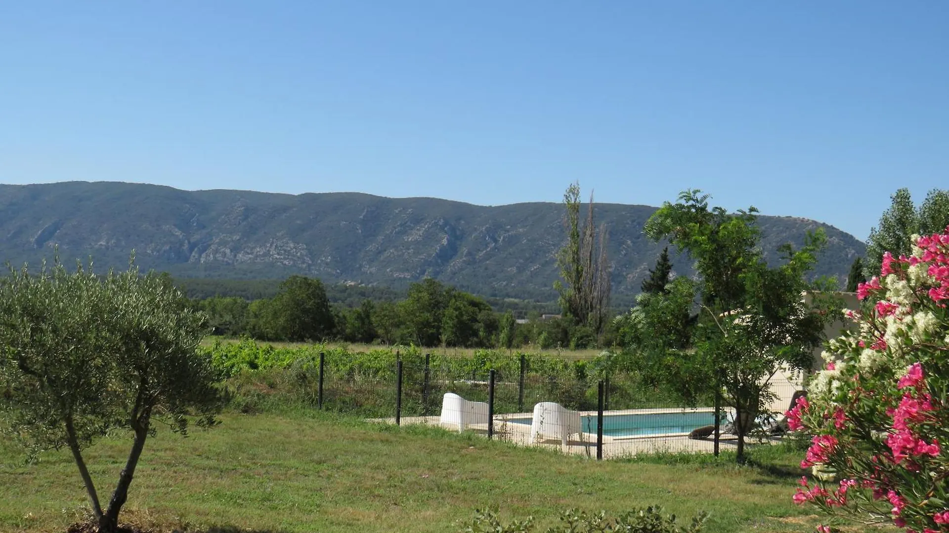 Maison Face Au Luberon Avec Piscine - 5 Chambres Cabrieres-d'Avignon Holiday home