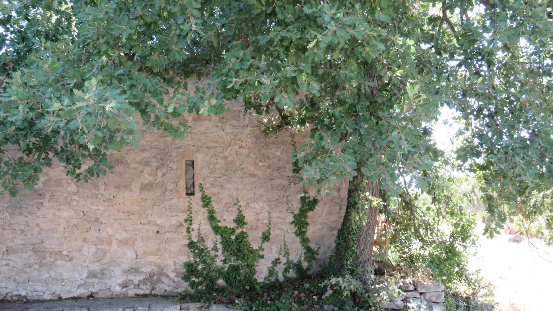 Maison Face Au Luberon Avec Piscine - 5 Chambres Cabrieres-d'Avignon